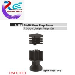 RAF PARÇASI AKSESUARI / RAFSTEEL RS869A119 Dikme Pingo Takımı 30x30